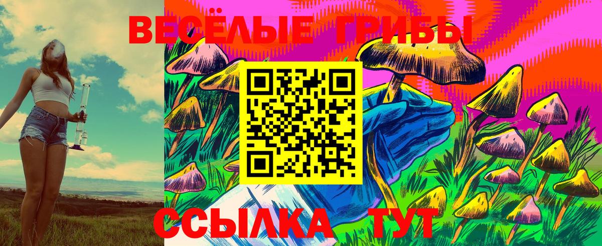 Советск  Галлюциногенные грибы мицелий  цены наркотик  Вход с VPN 