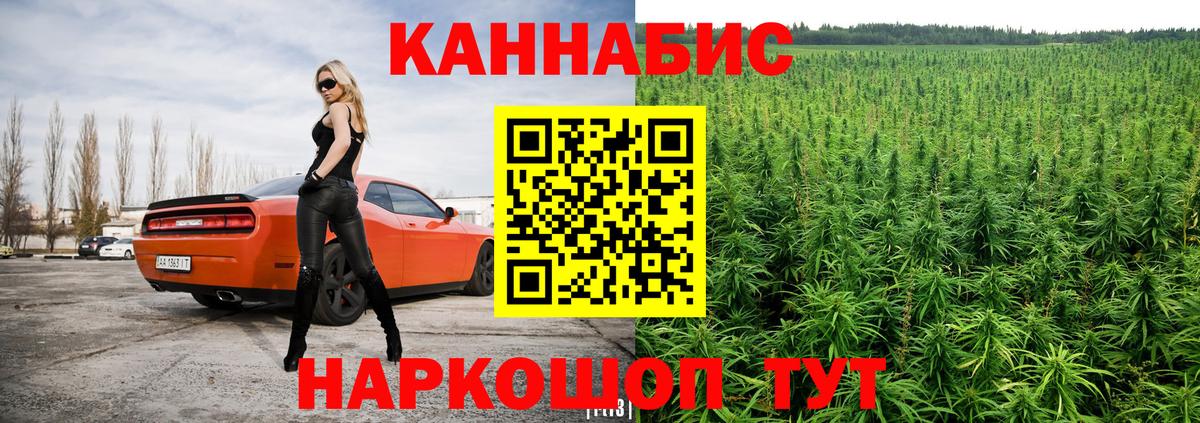 Конопля Bruce Banner  Вход с VPN  Советск  Марихуана семена  Бошки Шишки Amnesia 